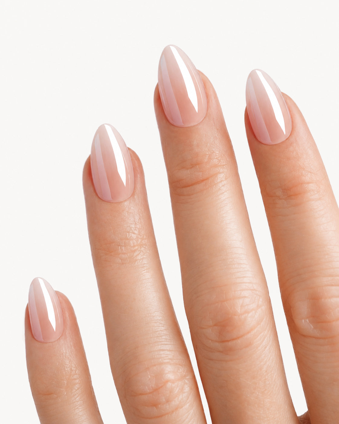 Seashell Nude