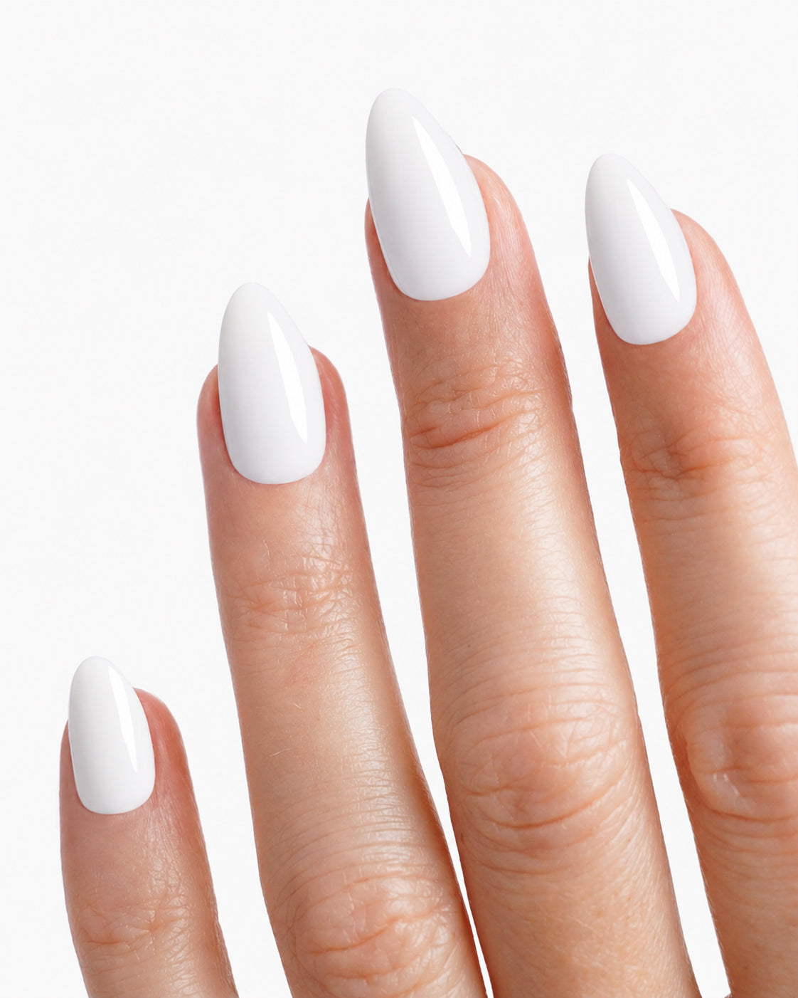 Elegant White