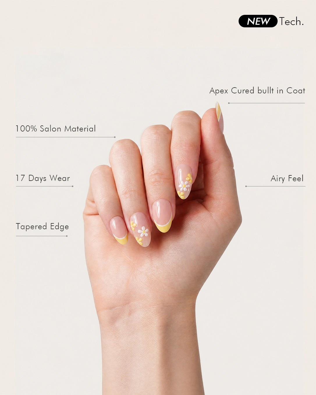 Sunlit Daisy