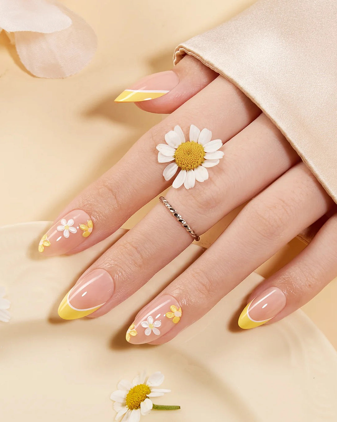 Sunlit Daisy