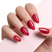 ❤️نبضات القلب 