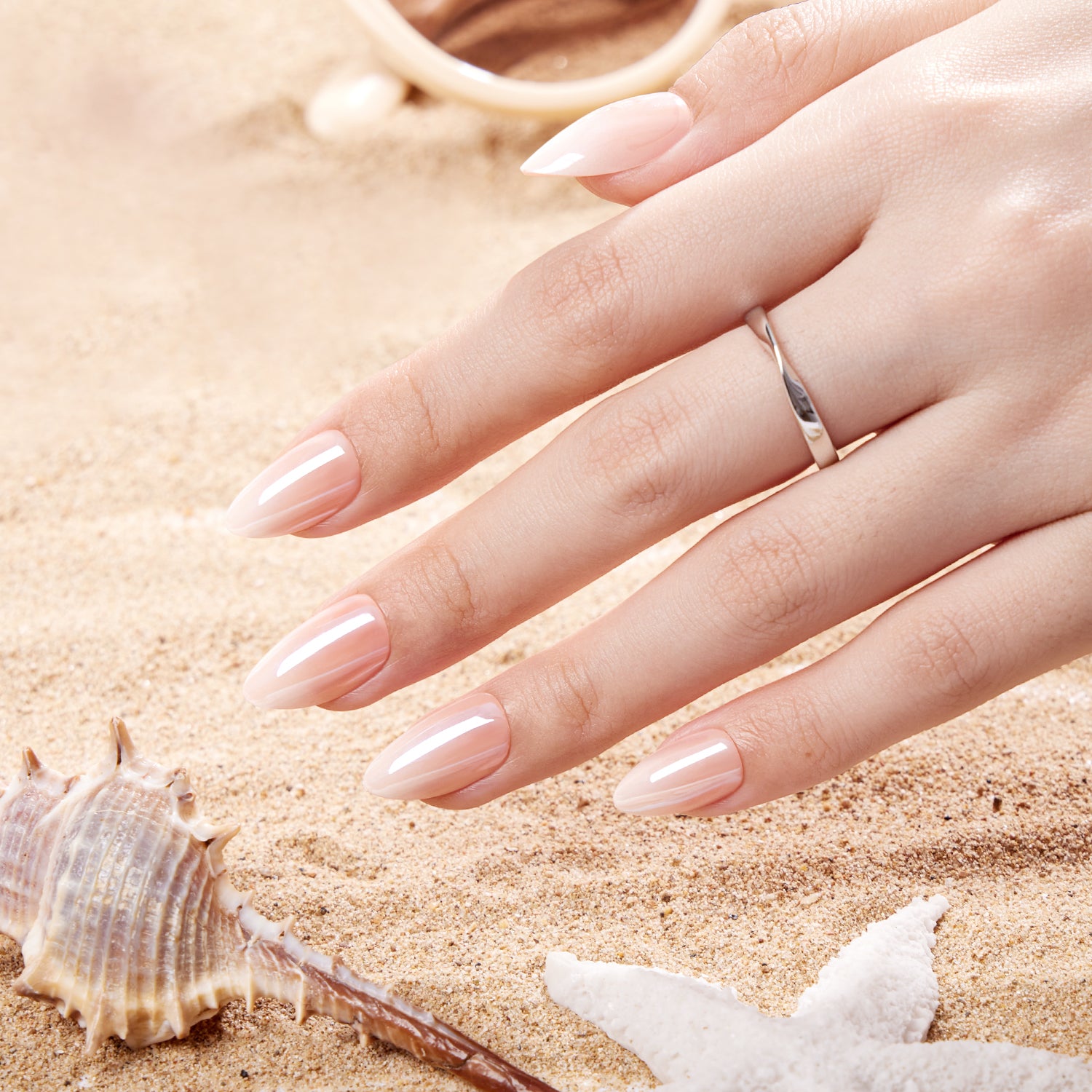 Seashell Nude