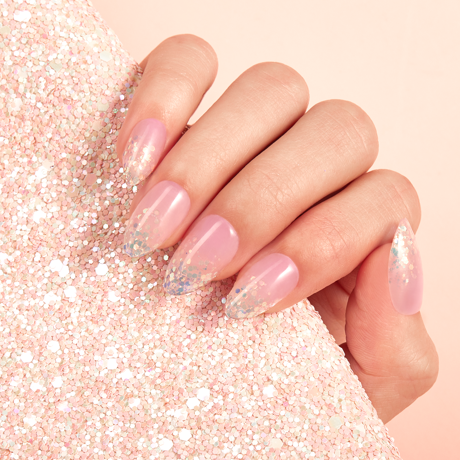 صدفة حورية البحر 