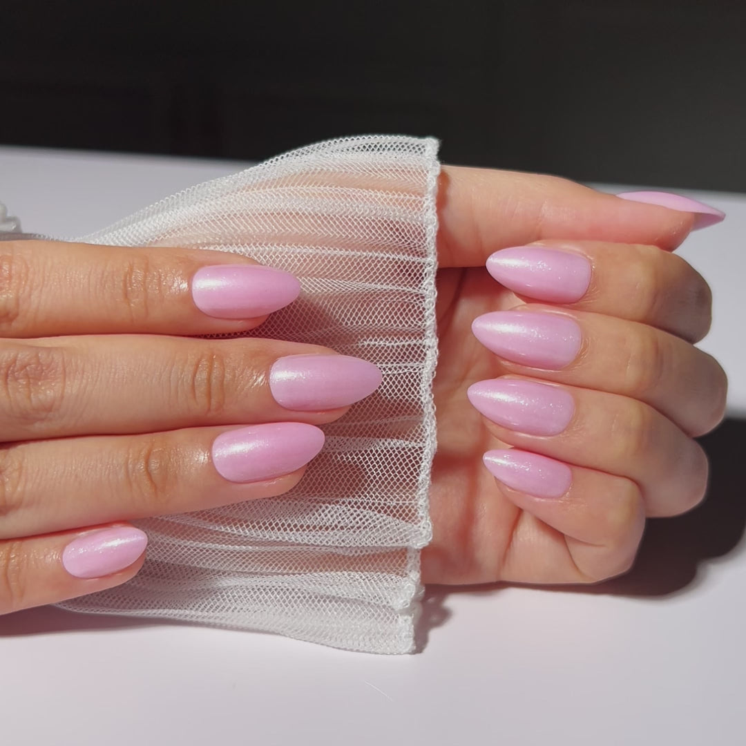 Load video: Rose Delight